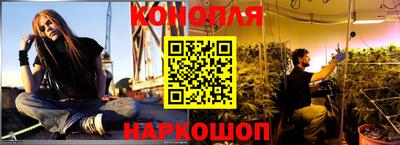 Альфа ПВП Можга