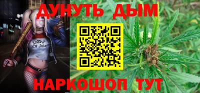 Альфа ПВП Можга