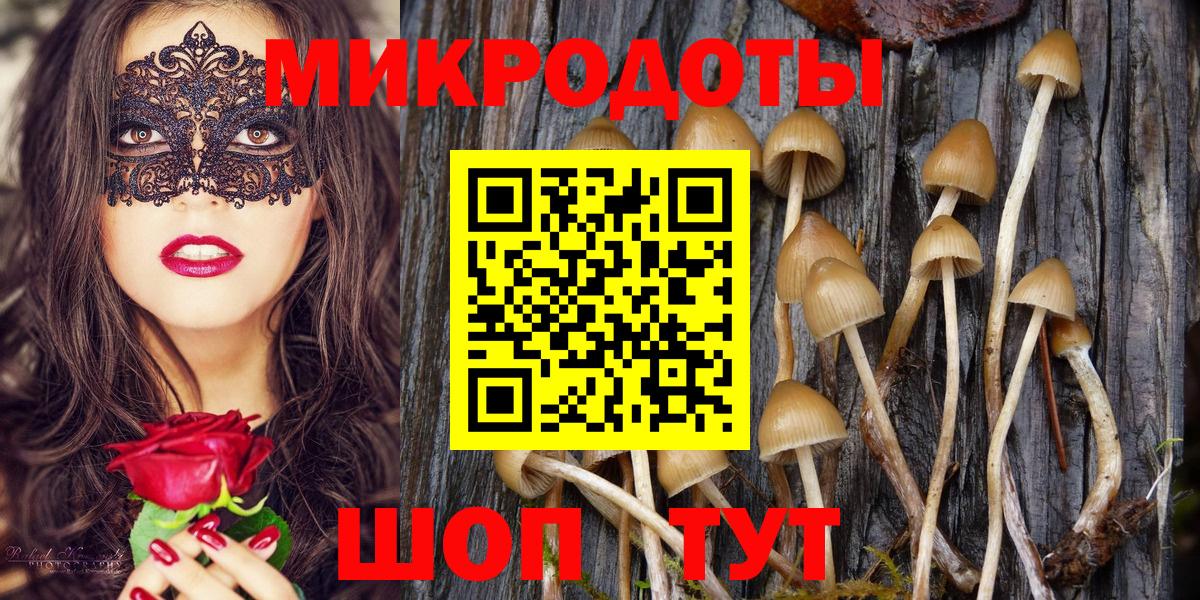 Евпатория  Псилоцибиновые грибы мицелий  купить закладку  Псилоцибиновые грибы мухоморы  Вход с VPN 